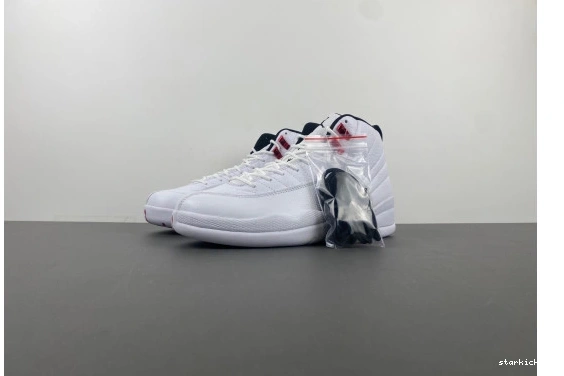 CT8013-106 “Twist” Jordan Air 12 CT8013-106  1231
